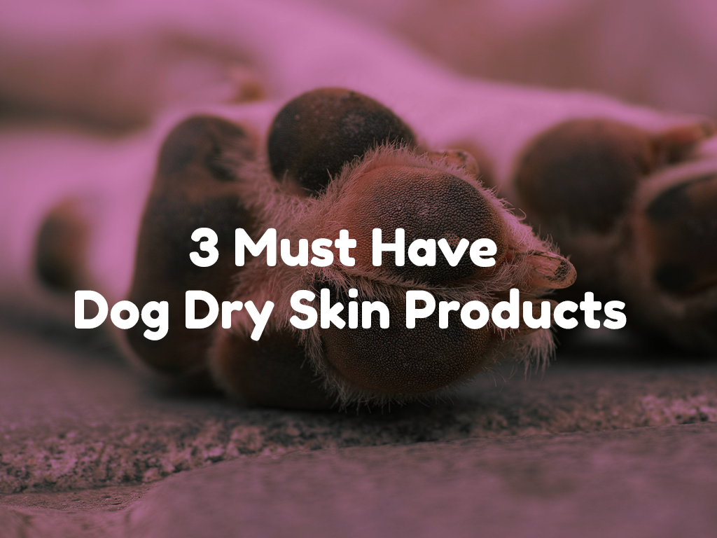 3 Must Have Dog Dry Skin Products